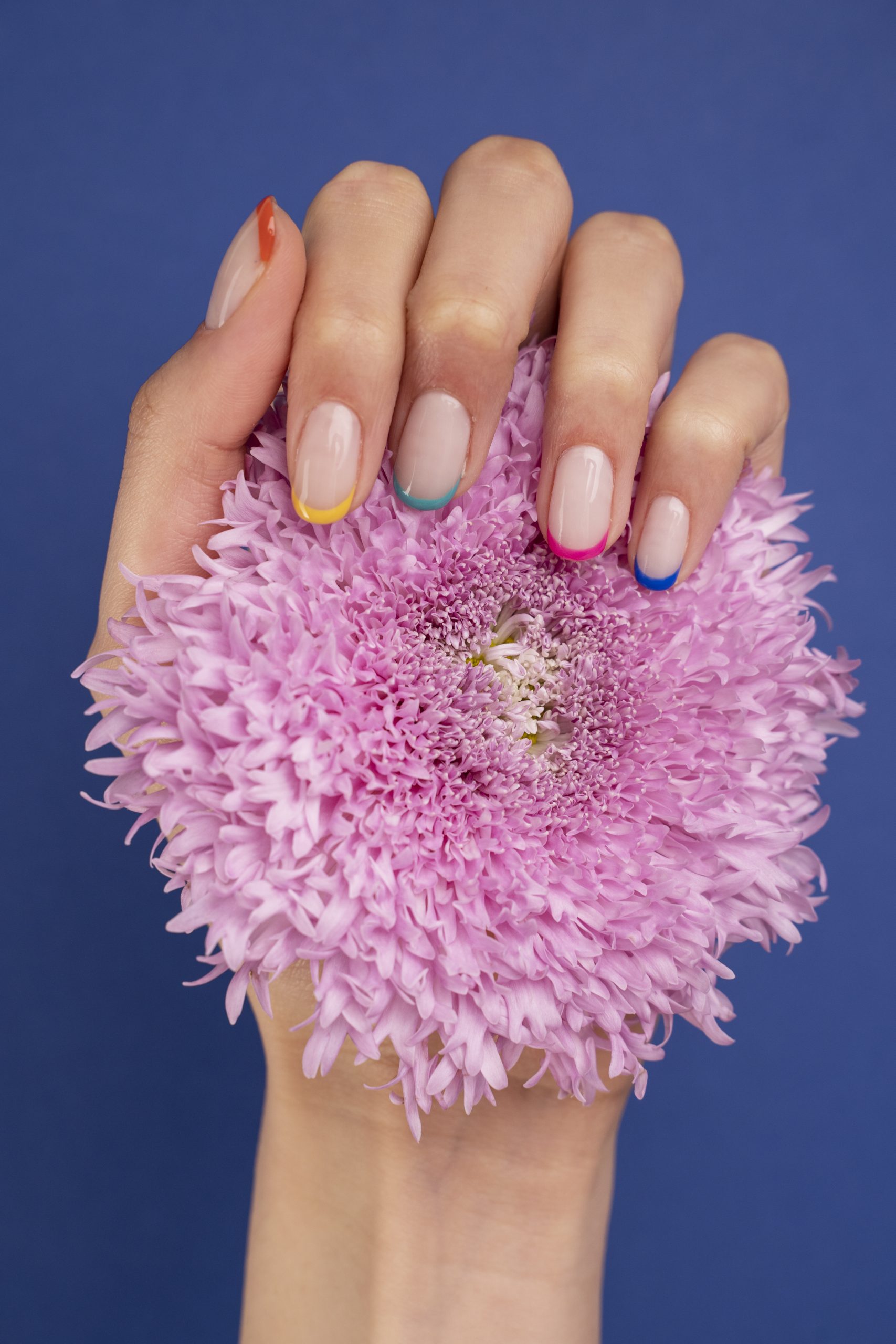 close-up-hand-with-french-model-nails